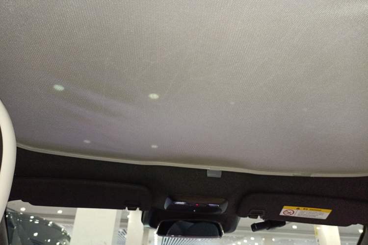 Used XPeng P7 2022 480E Headliner