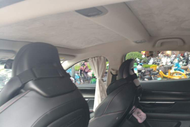 Used XPeng P7 2022 670N+ Headliner