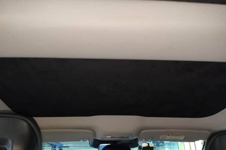 Used XPeng P7 2022 480E+ Headliner