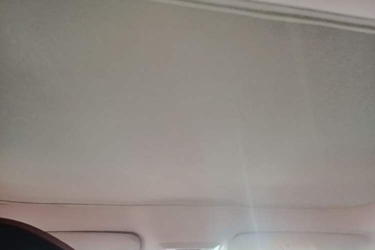 Used XPeng P7 2022 625E Headliner