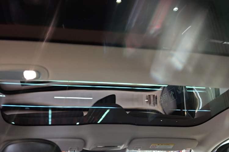 Used XPeng P7 2022 480E+ Headliner