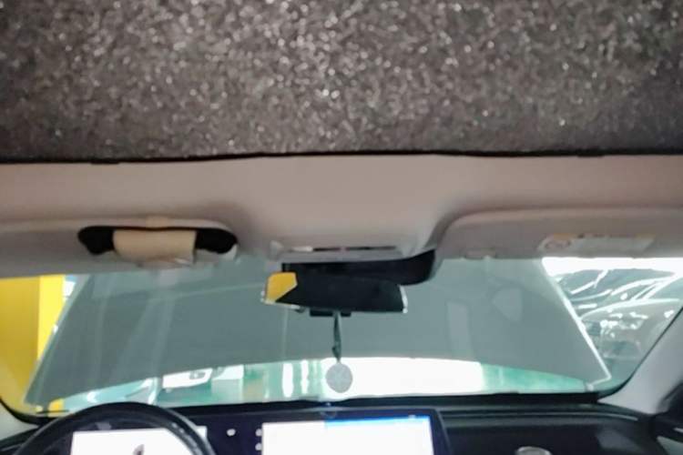 Used XPeng P7 2022 670G Headliner