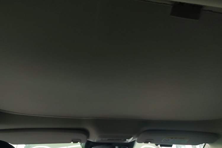 Used XPeng P7 2022 480E+ Headliner