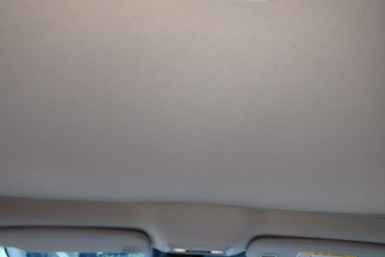 Used XPeng P7 2022 625E Headliner