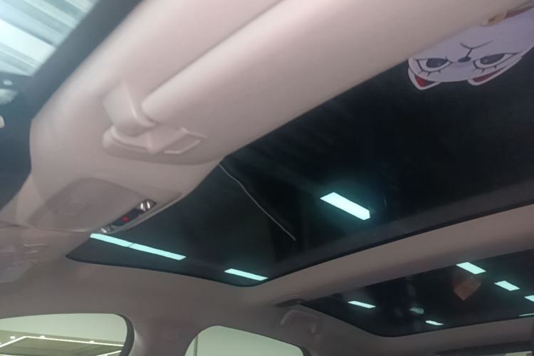 Used XPeng P7 2022 670N+ Headliner