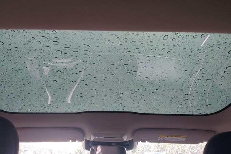 Used XPeng P7 2022 480E Headliner