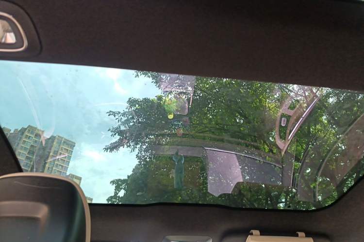 Used XPeng P7 2022 480E Headliner