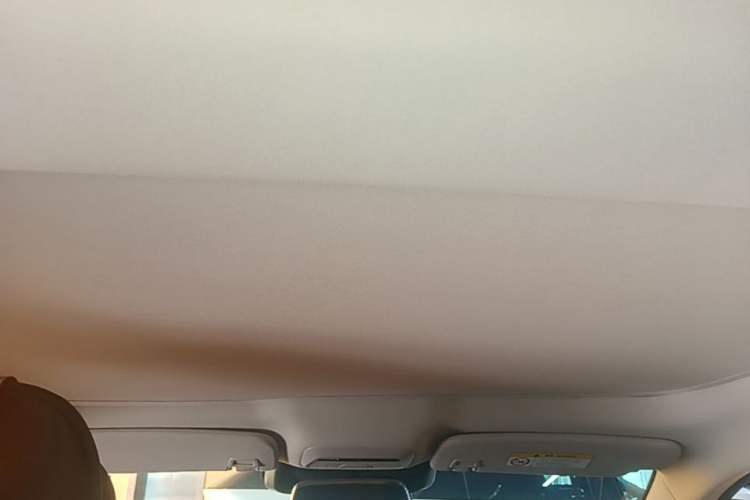 Used XPeng P7 2022 625E Headliner