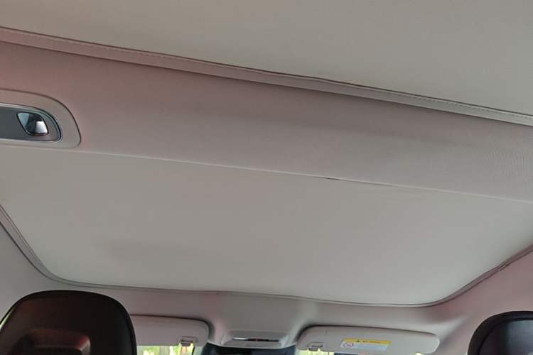 Used XPeng P7 2022 625E Headliner