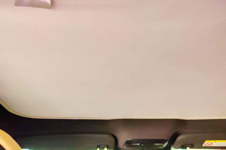 Used XPeng P7 2022 625E Headliner