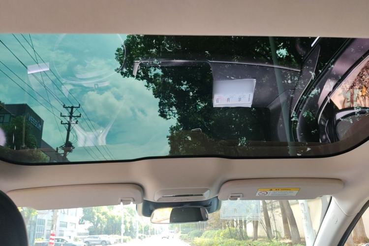 Used XPeng P7 2022 480E Headliner