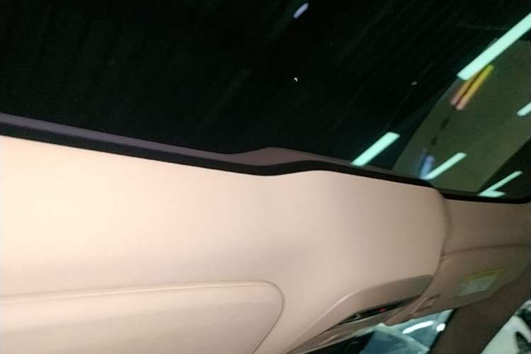 Used XPeng P7 2022 670E+ Headliner
