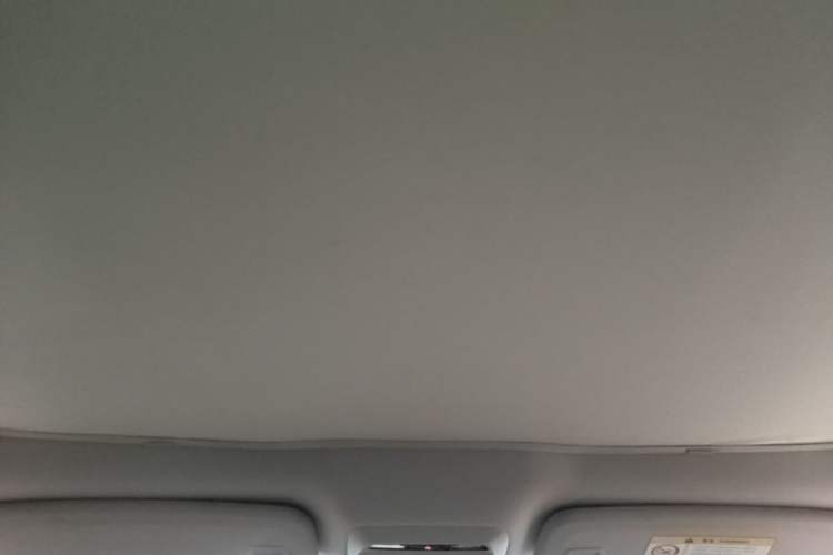 Used XPeng P7 2022 625E Headliner