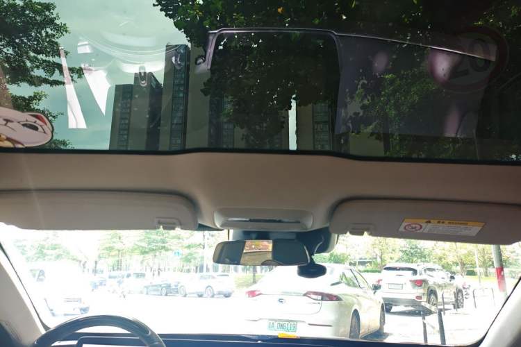 Used XPeng P7 2022 670N+ Headliner