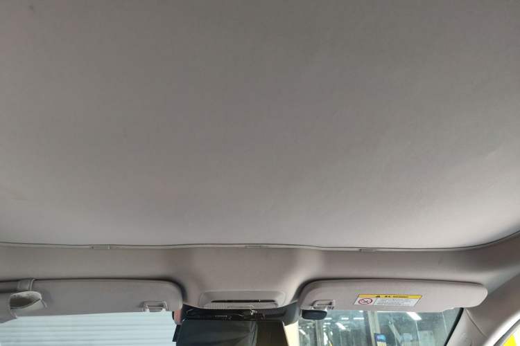 Used XPeng P7 2022 625E Headliner