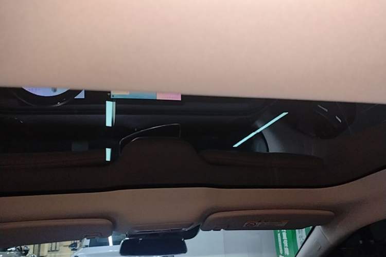 Used XPeng P7 2022 670N+ Headliner