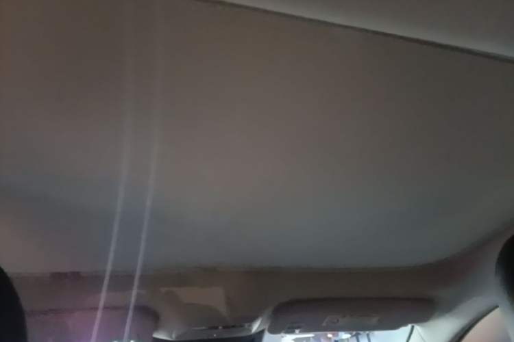 Used XPeng P7 2022 625E Headliner
