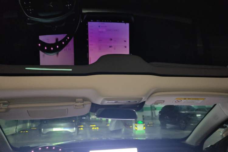 Used XPeng P7 2022 625E Headliner