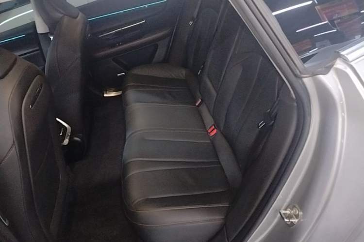 Used XPeng P7 2022 670N+ Left Rear Seat