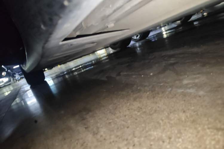 Used XPeng P7 2022 586G Left Side Sill