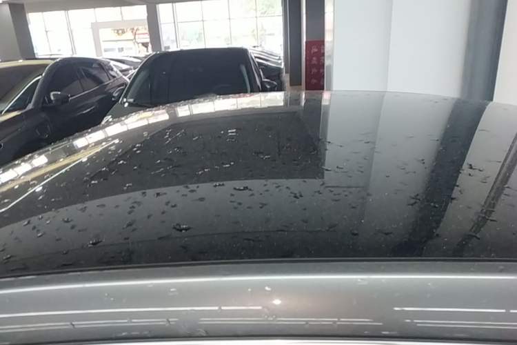 Used XPeng P7 2022 670N+ Roof