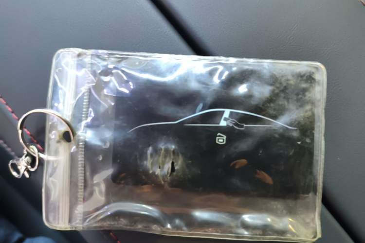 Used XPeng P7 2022 480E+ Vehicle Key
