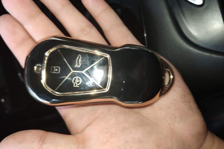 Used XPeng P7 2022 625E Vehicle Key