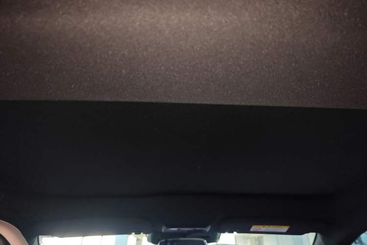 Used XPeng P7 2022 625E Headliner