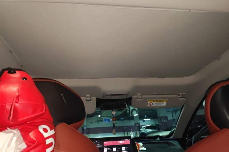 Used XPeng P7 2022 480E+ Headliner