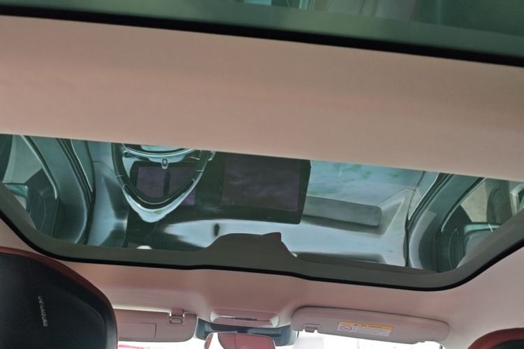 Used XPeng P7 2022 480E Headliner