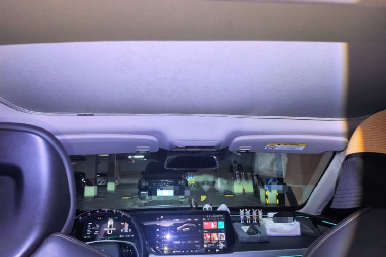 Used XPeng P7 2022 480E+ Headliner
