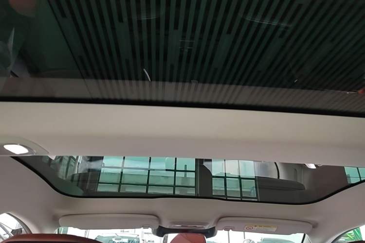 Used XPeng P7 2022 480E Headliner