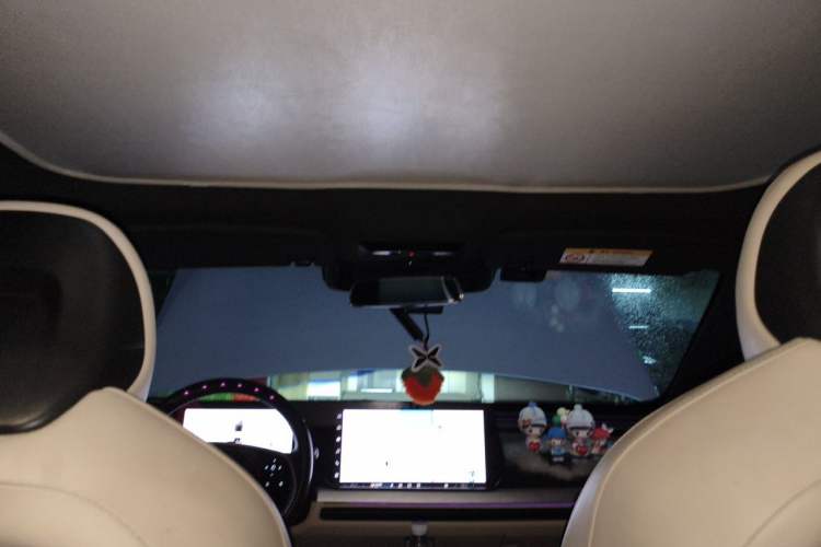 Used XPeng P7 2022 480E Headliner