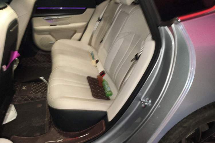 Used XPeng P7 2022 480E Left Rear Seat