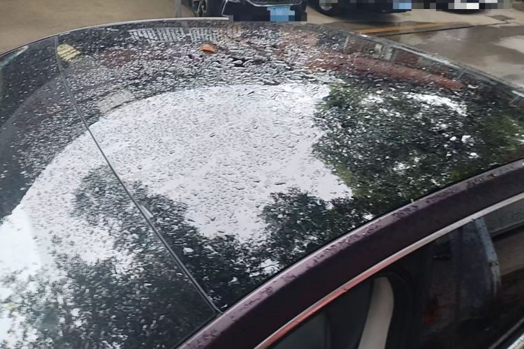 Used XPeng P7 2022 625E Roof