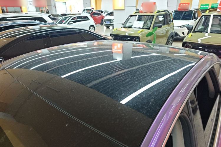 Used XPeng P7 2022 670N+ Roof