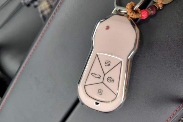 Used XPeng P7 2022 480G Vehicle Key