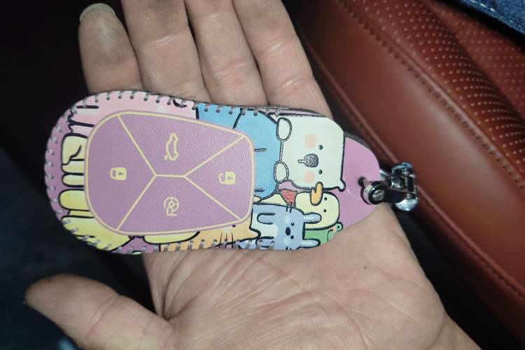 Used XPeng P7 2022 670N+ Vehicle Key