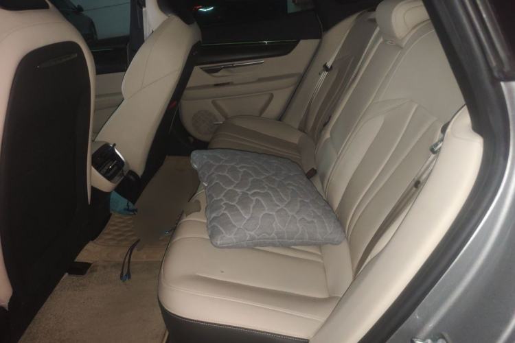 Used XPeng P7 2022 480E Left Rear Seat