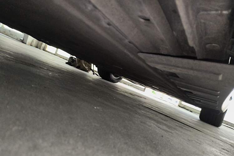 Used XPeng P7 2022 480E Chassis Front Left