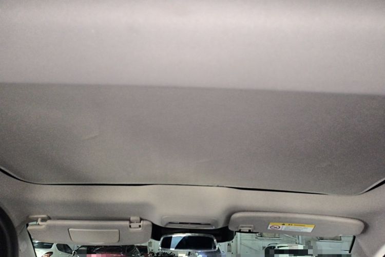 Used XPeng P7 2022 480E Headliner