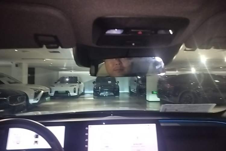 Used XPeng P7 2022 625E Headliner