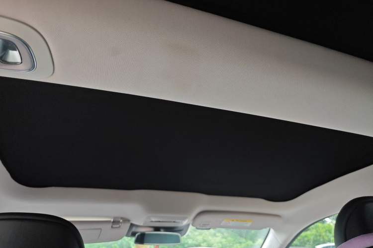 Used XPeng P7 2022 480E Headliner