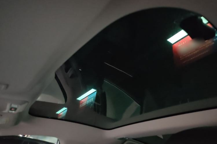 Used XPeng P7 2022 480E Headliner