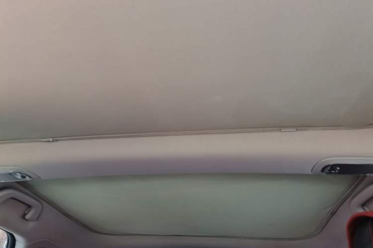 Used XPeng P7 2022 625E Headliner
