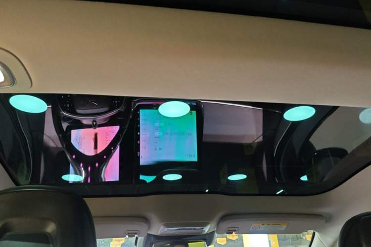 Used XPeng P7 2022 480E Headliner