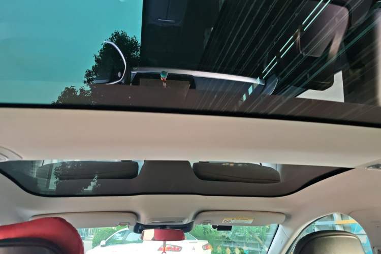 Used XPeng P7 2022 480E Headliner