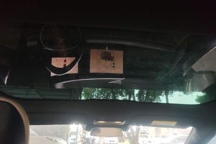 Used XPeng P7 2022 480E Headliner