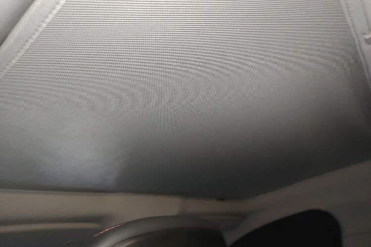 Used XPeng P7 2022 480E Headliner