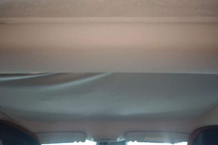 Used XPeng P7 2022 670N+ Headliner